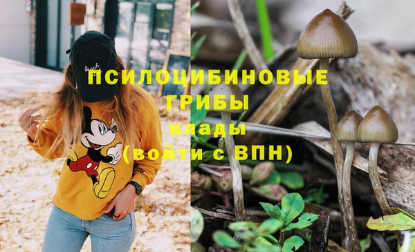 молекула духа Богородск