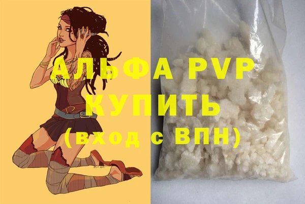 молекула духа Богородск